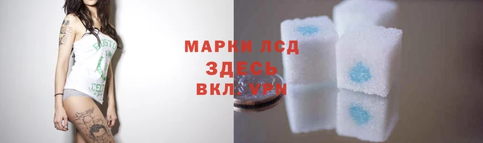 эйфоретик Арсеньев
